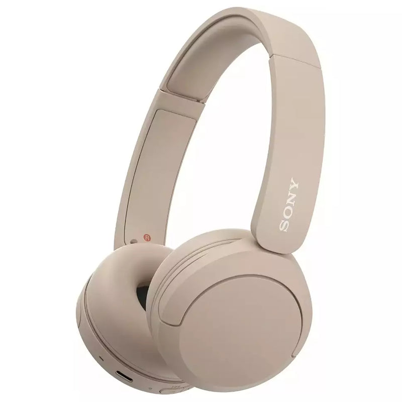 Sony WH-CH520 Headphones with Microphone